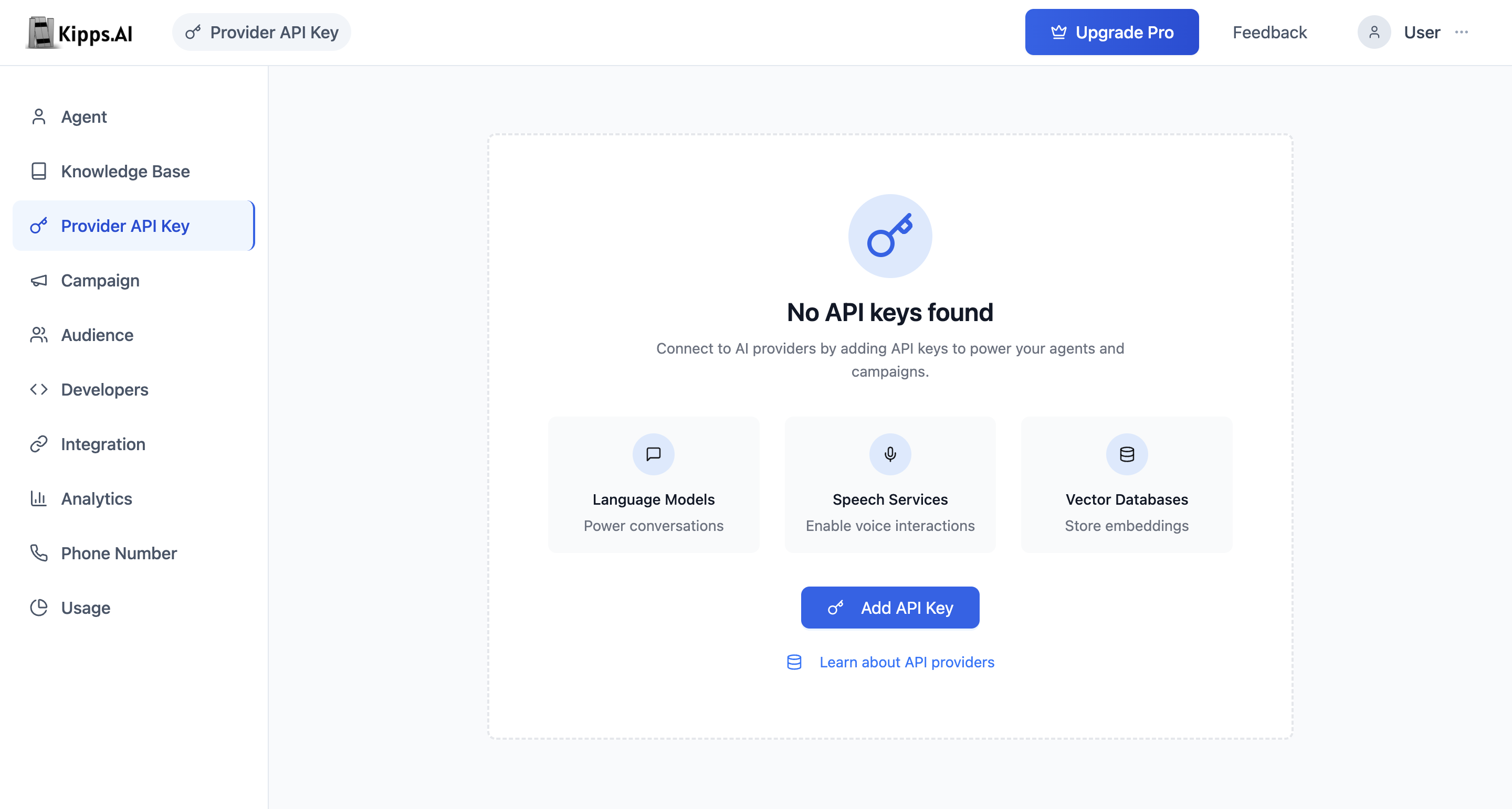 API Key Setup