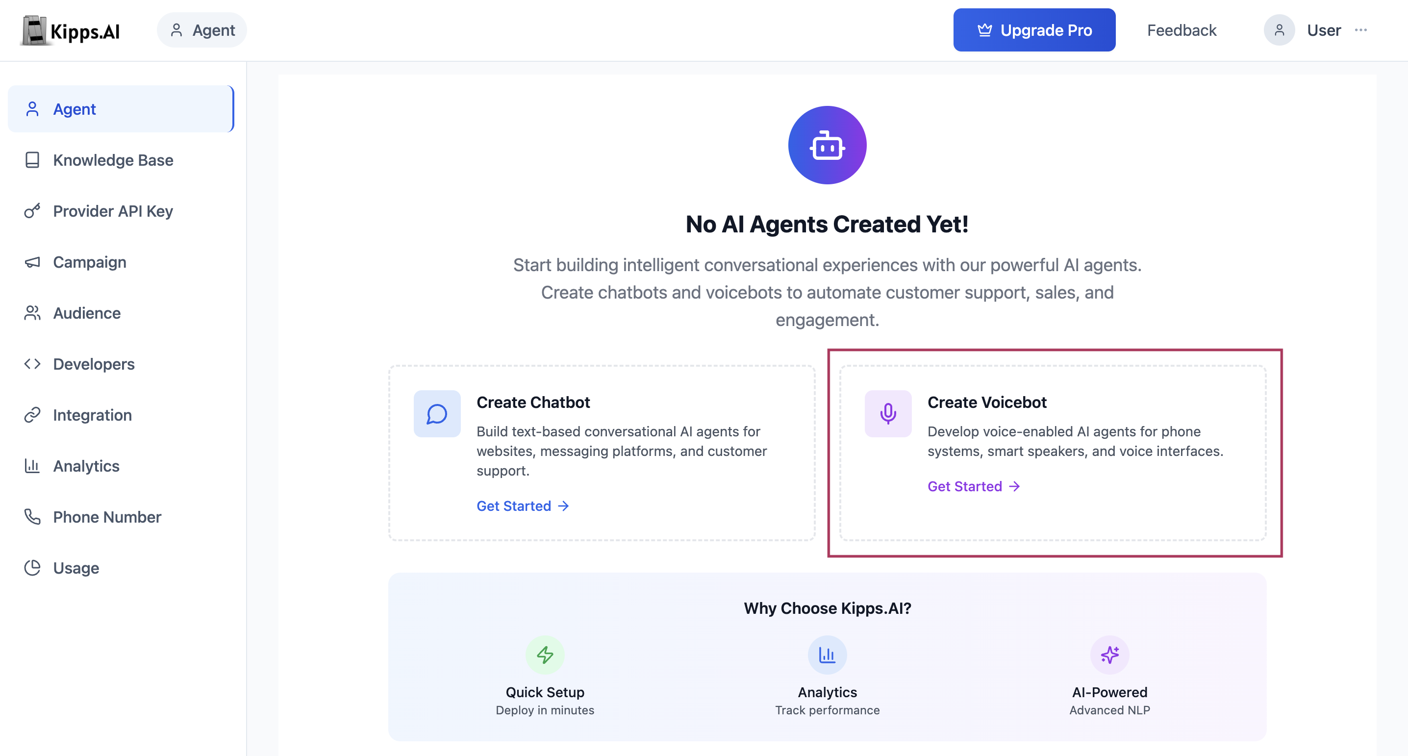 Create VoiceAgent Button